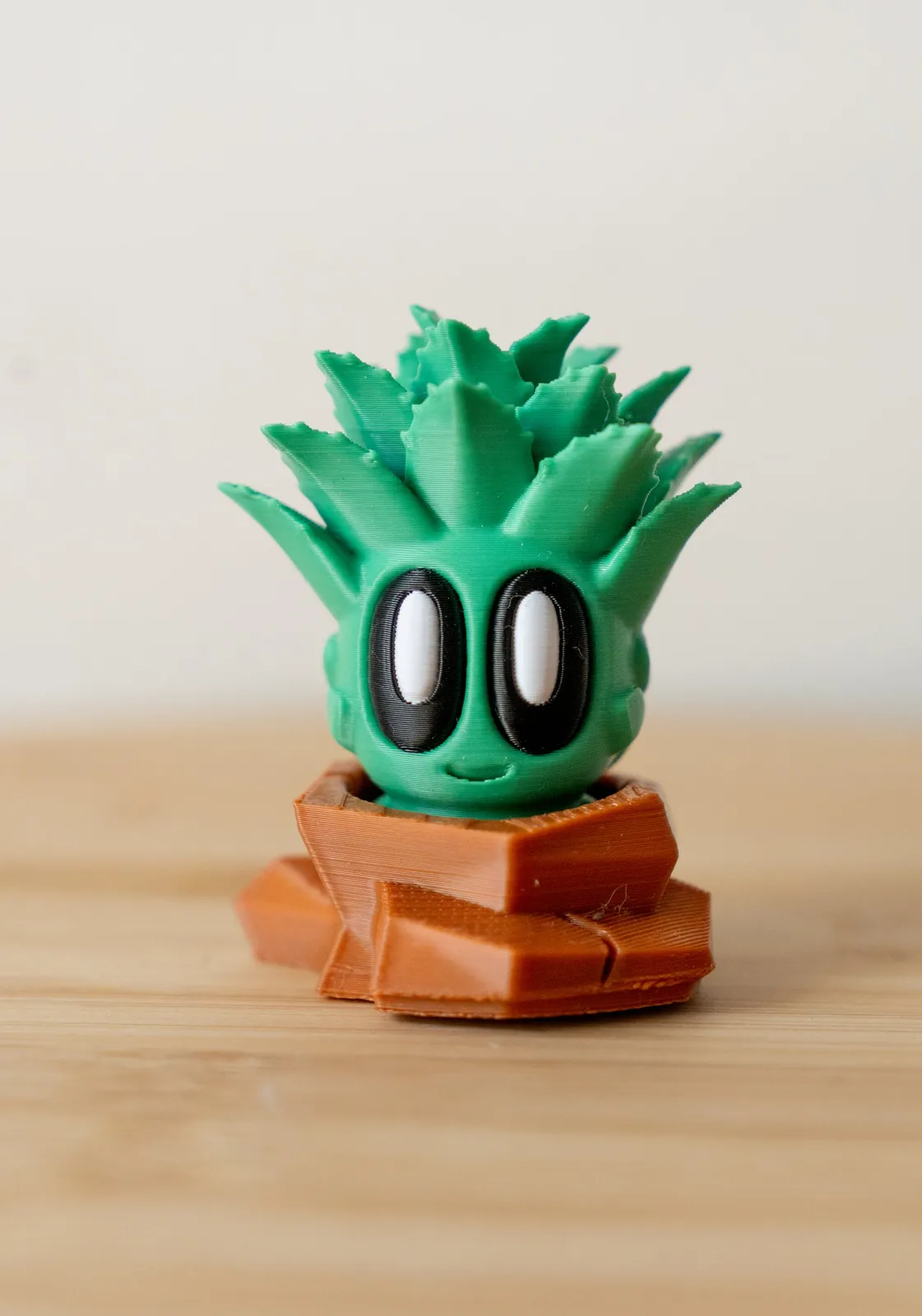 Aloe Succulent Buddy 3D Printed Fidget